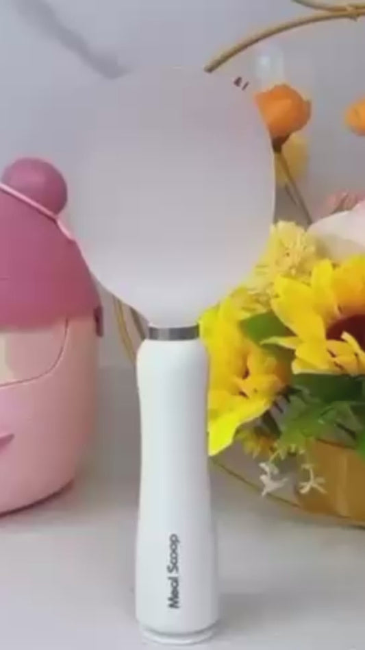 Self Standing Rice Scoop Spoon with Non Stick Coating (Pack of 2)